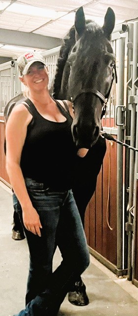 Friesian Finn STER SPORT - Sold
